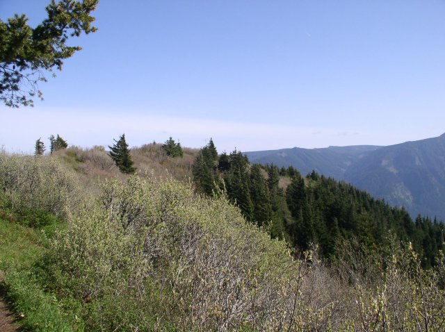 4.30.06 Hamilton Mountain 088 